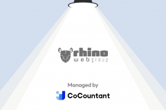 Accounting Cleanup for Rhino Web Group
